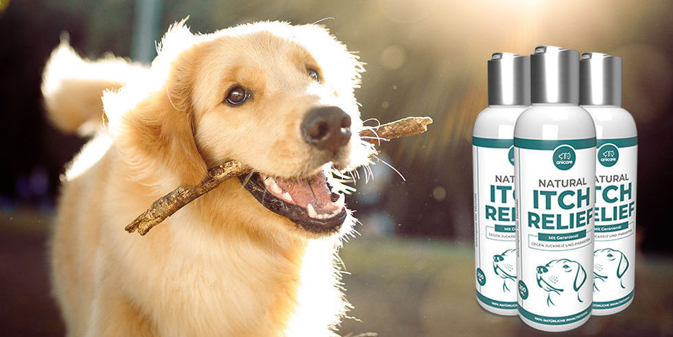 perro con Natural Itch Relief Shampoo 