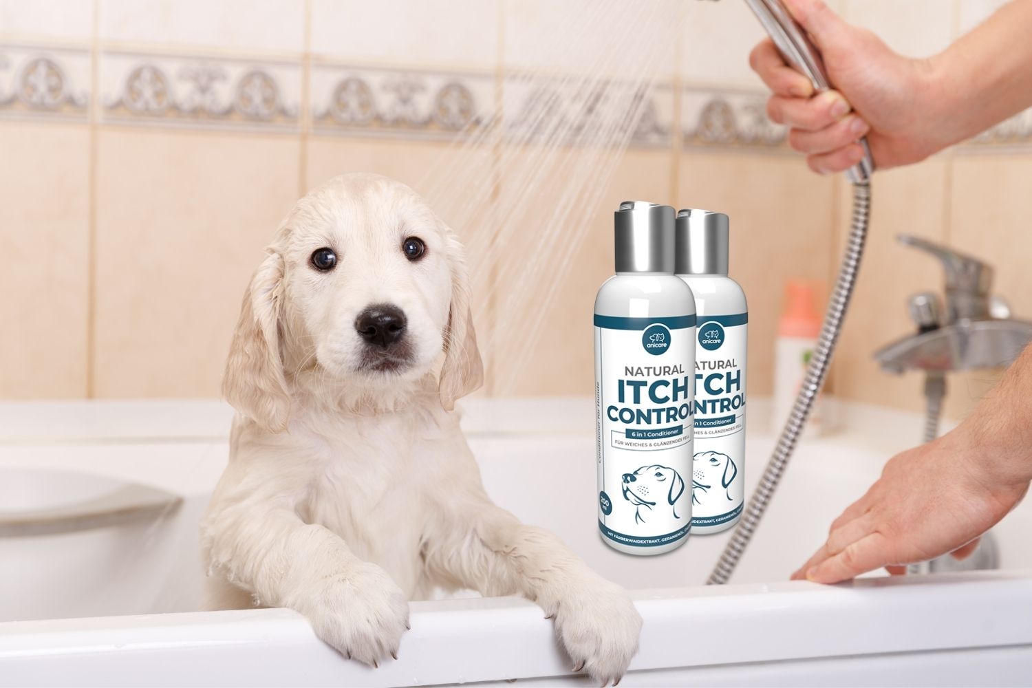 el perro se ducha con Natural Itch Control