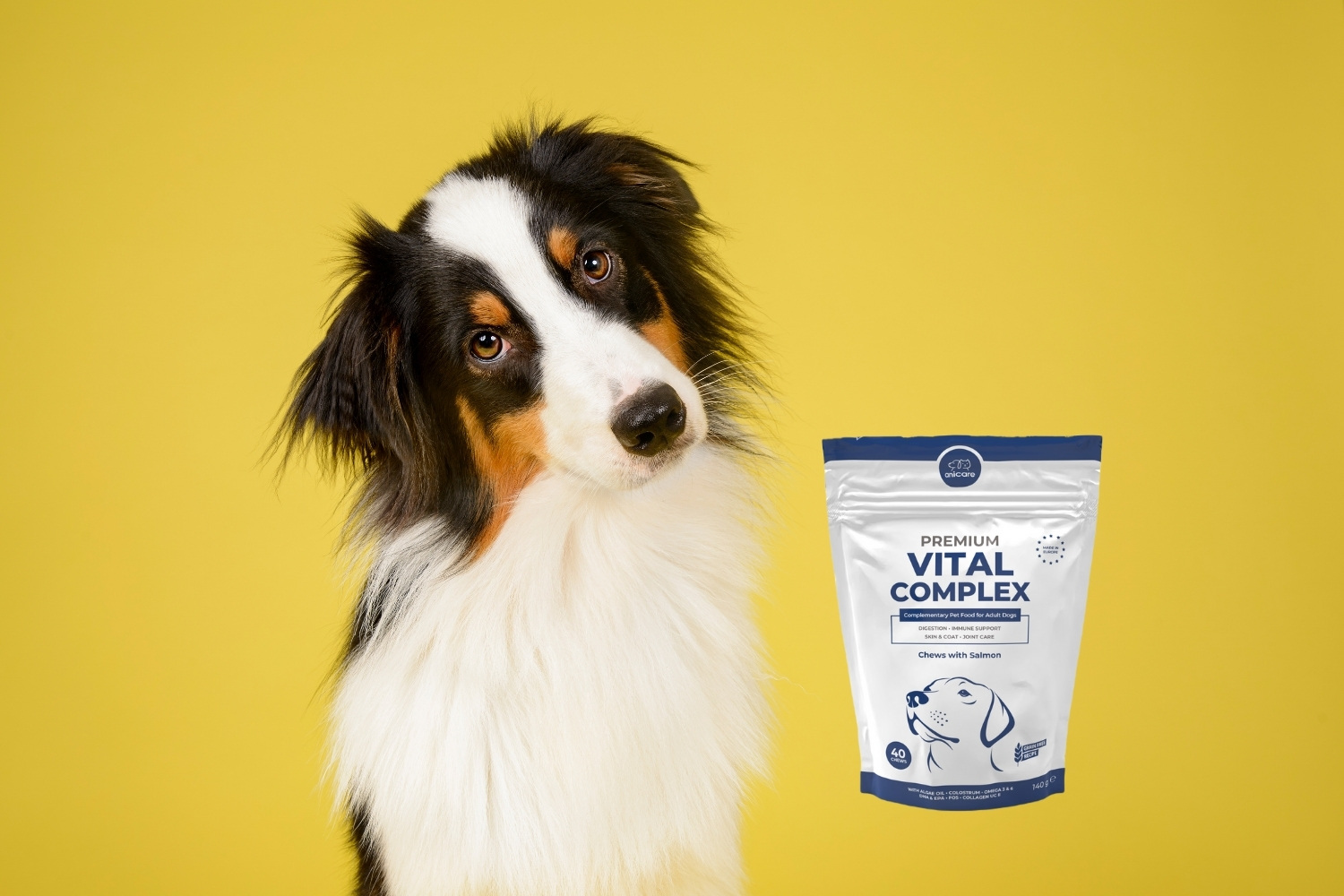 Hund neben einer Packung Premium Vital Complex von Anicare