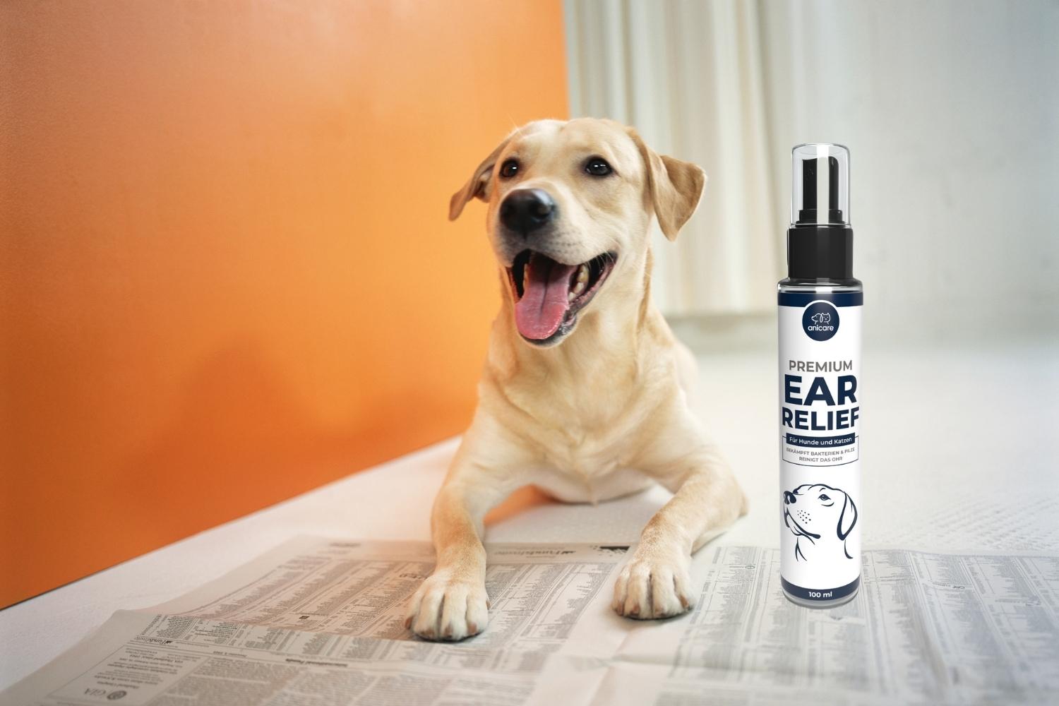 Premium Ear Relief von Anicare