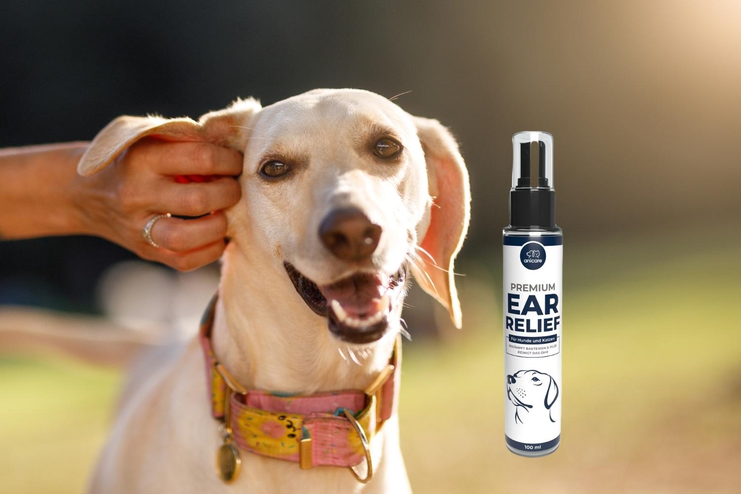 Anicare Premium Ear Relief