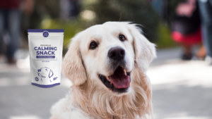 perro blanco Premium Calming Snack