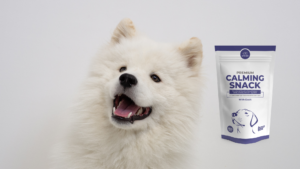 perro blanco - premium calming snack