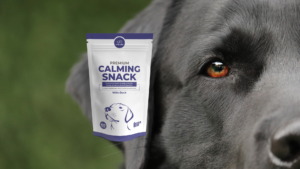 perro negro - Premium Calming Snack